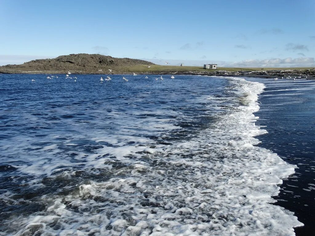 побережье карского моря диксон. мыс диксон. берег петра чичагова. карское море диксон. чп на полярной станции известий цик в карском море история.