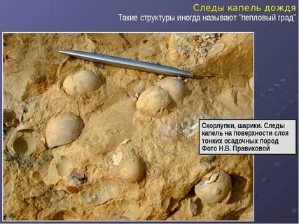 Следы капель
