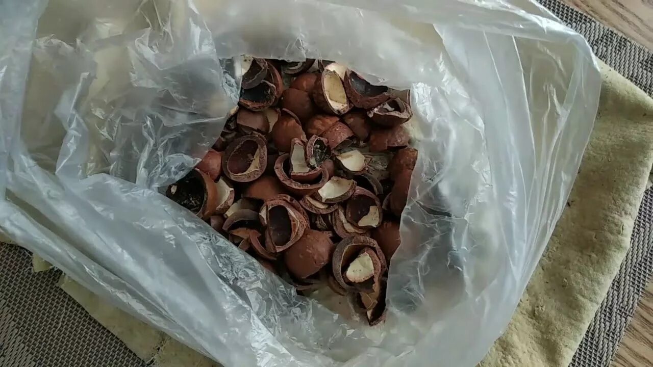 Макадамия орех скорлупа самогон. Скорлупа макадамия в самогон. самогон на скорлупе макадамии. настойка на орехи макадамия из самогона. настойка на макадамии скорлупе на самогоне.