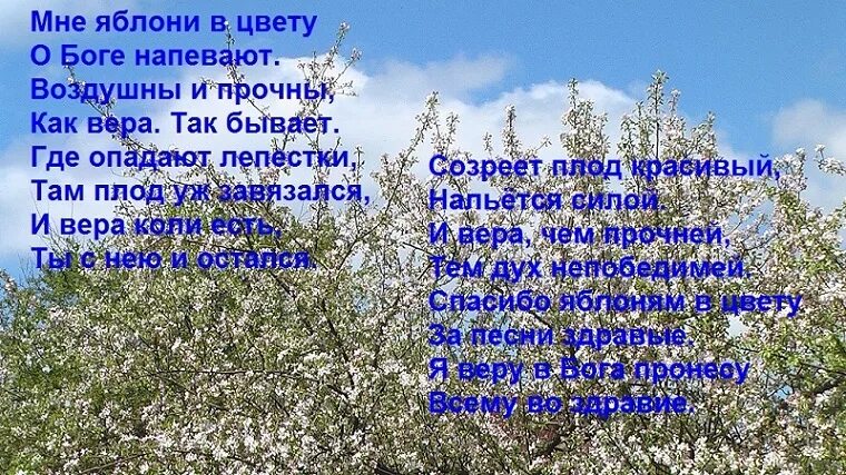 Цветущий май текст. Стихи о цветущих яблонях. Яблони в цвету стихи. Стихи о цветущей яблоне. Стихи про Яблоневый цвет.