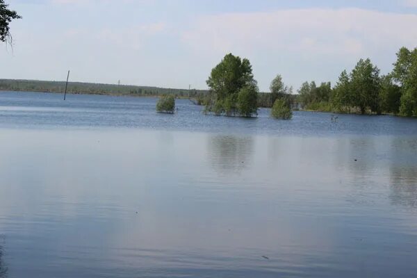 Река Тавда таборы. Река Тавда Андрюшино. Река Таборинка. Уровень реки Тавда. Вода реке тавда