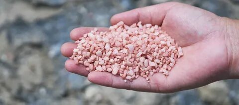 Сульфат калия для чеснока весной
