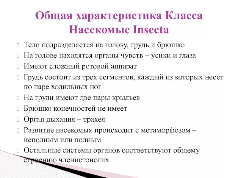 Характеристики класу. Общая характеристика животных класса насекомых. Класс насекомые общая характеристика. Особенности класса насекомые. Класс насекомые. Общая характеристика класса..