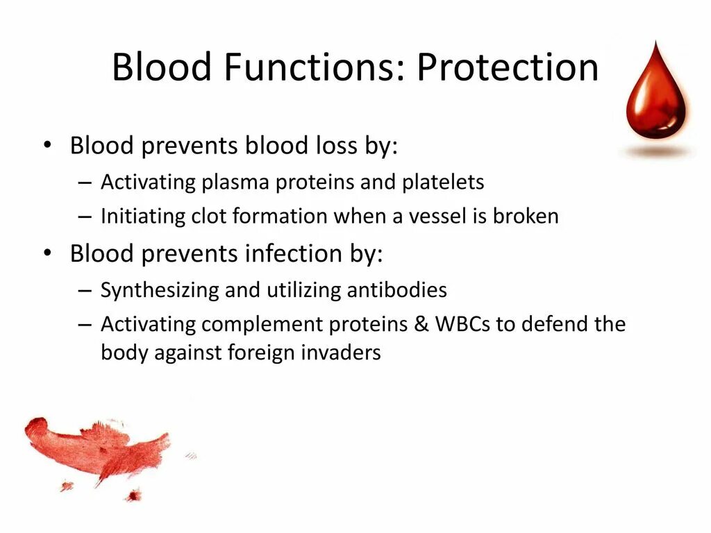 Functions of Blood. Transport function of Blood. Blood Plasma Proteins. Function of Blood Blood ppt.