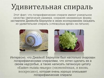 Спираль текст