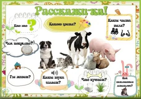 Интересное расскажи ка