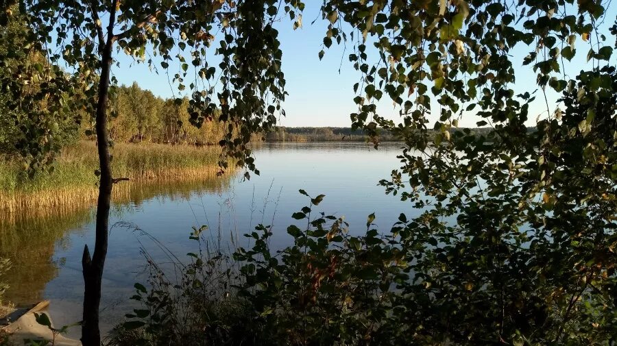 Озеро русские песни. Рубское озеро. Рубское озеро Ивановская область. Рубское озеро с высоты птичьего полета. Рубское озеро на карте Ивановской области.