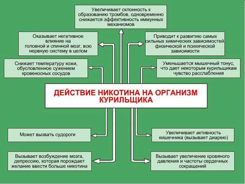 Механизм воздействия никотина на организм человека. Механизм действия никотина на здоровье человека. Влияние никотина на организм человека схема. Схема воздействия никотина.