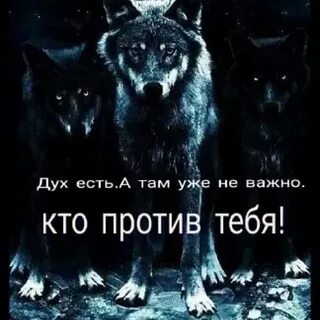 Тот кто напротив 6 букв