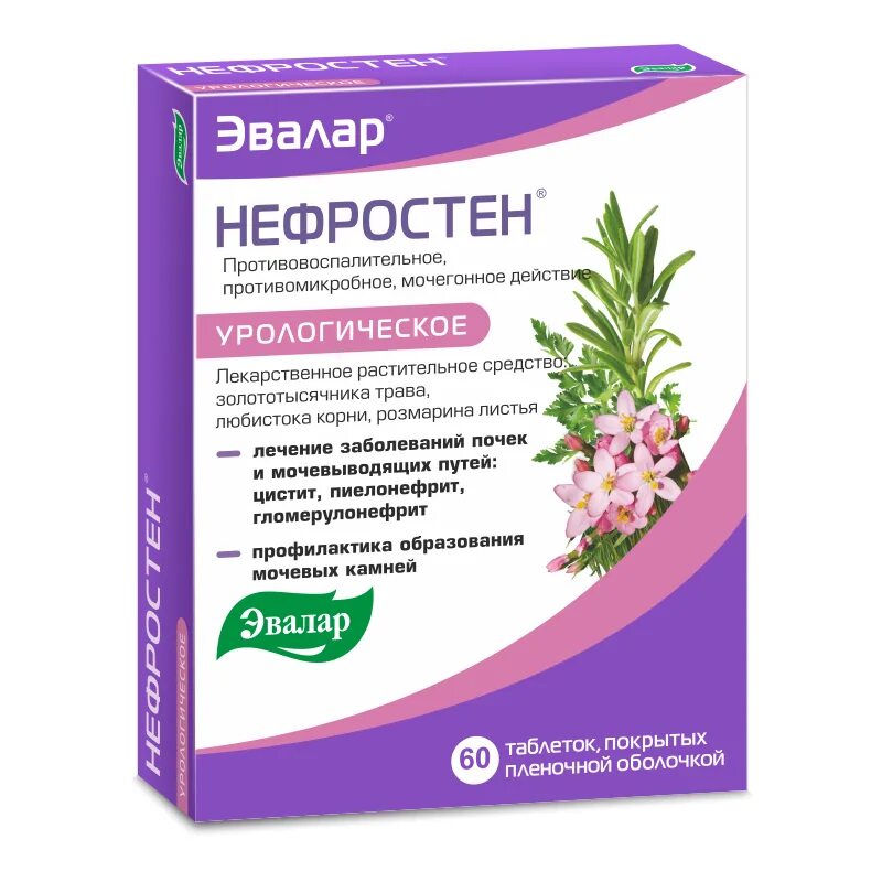 Нефростен эвалар от цистита инструкция по применению. Нефростен таб.п.п.о.№60. нефростен табл 250 мг №60. нефростен эвалар урологическое. нефростен чай эвалар.