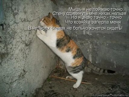 Ловили точно