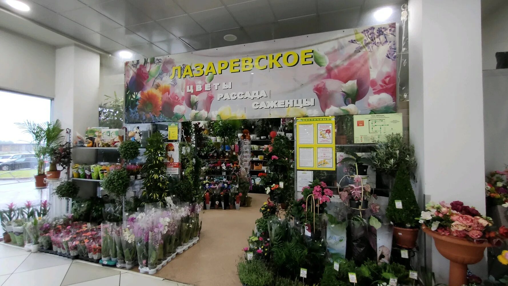 цветочный магазин лазаревское. цветочный магазин рыбинск лазаревское. цветочный лазаревское ярославль. цветочный лазаревское. ярославль улица труфанова 19 лазаревское цветочный.