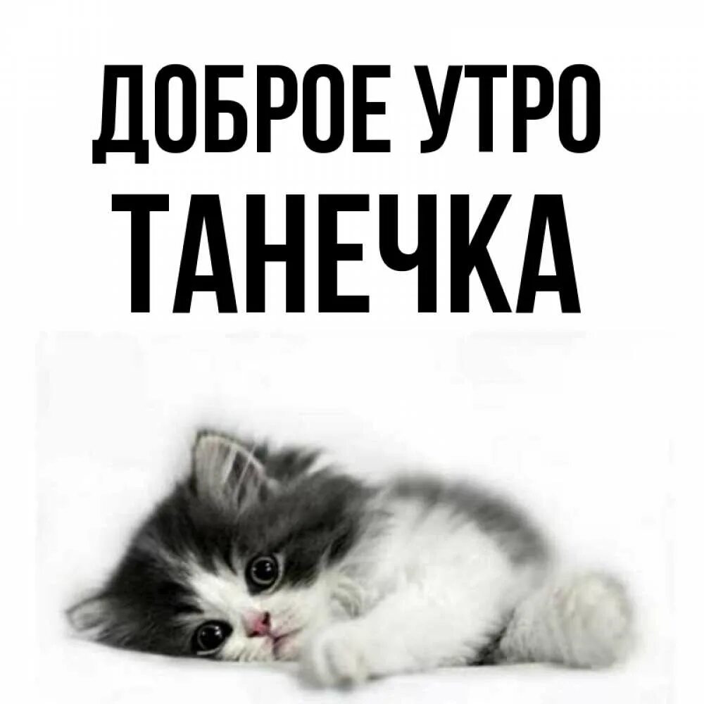 Доброе танечка. Доброе утро танечка. доброе утро танечка открытки. доброе утро танька. доброе утро танюша картинки.