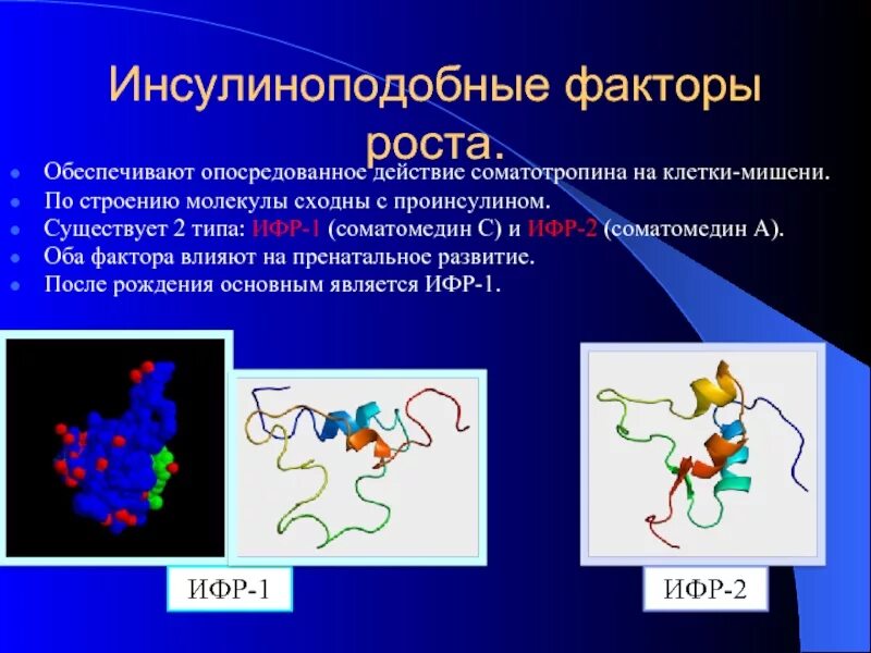 Соматотропин в крови. Инсулиноподобный фактор роста. Инсулиноподобный фактор роста 1. Роль инсулиноподобных факторов роста. Инсулиноподобный фактор роста норма.