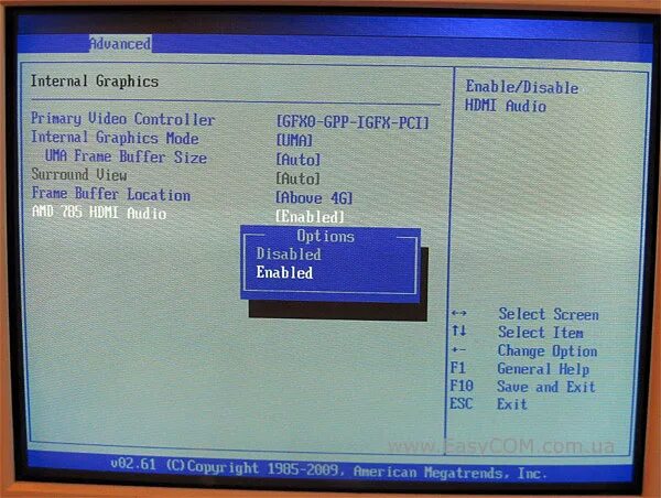 Internal graphics mode