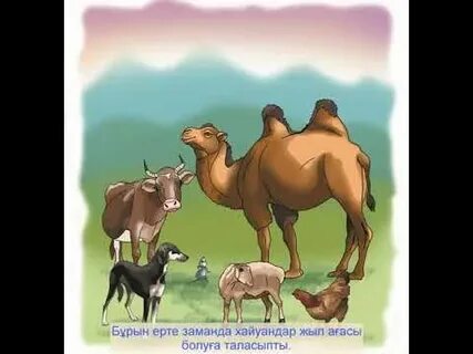 Жаяу серуендеп жүргенде қыздарға бір оқиғаны айтып бердім.