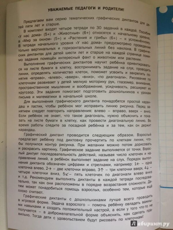 Диктант в лес за грибами. Диктант про грибы. Последние грибы диктант. Диктант грибная пора 8. Диктант грибная Поляна.