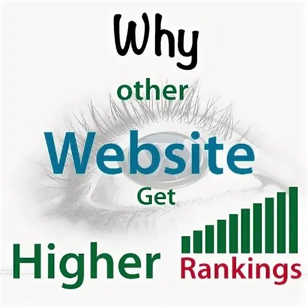 Other бренд. 0 backlinks. Others сайт. Link building techniques. Wheel strategy.