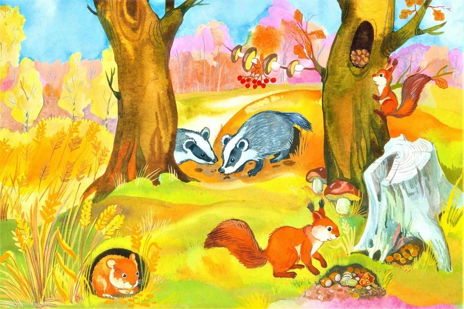 Животные готовятся к зиме. Иллюстрации осень для детского сада. Осенью звери готовятся к зиме. Животные осенью для детского сада.