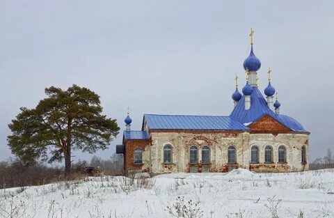 Деревня васильки