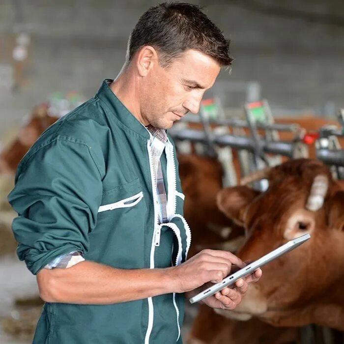 ветеринария в сельском хозяйстве. зоотехник и скотник. требуется ветеринарный врач. ветеринарная защита коров. ветеринар крс.