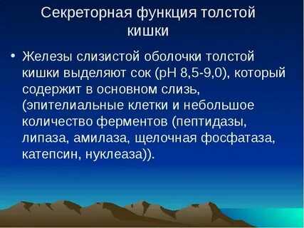 Функция железы кишечника