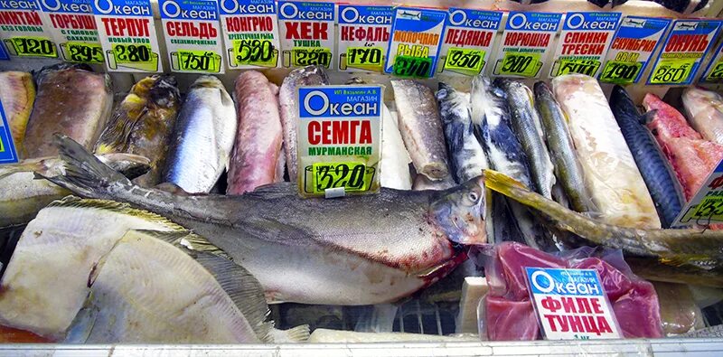 Рыба на рынке. Рыба на рынке названия. Судак рыба на прилавке. Рыба на рынке названия. Рыба на рынке названия.