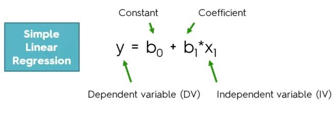 Constant variable