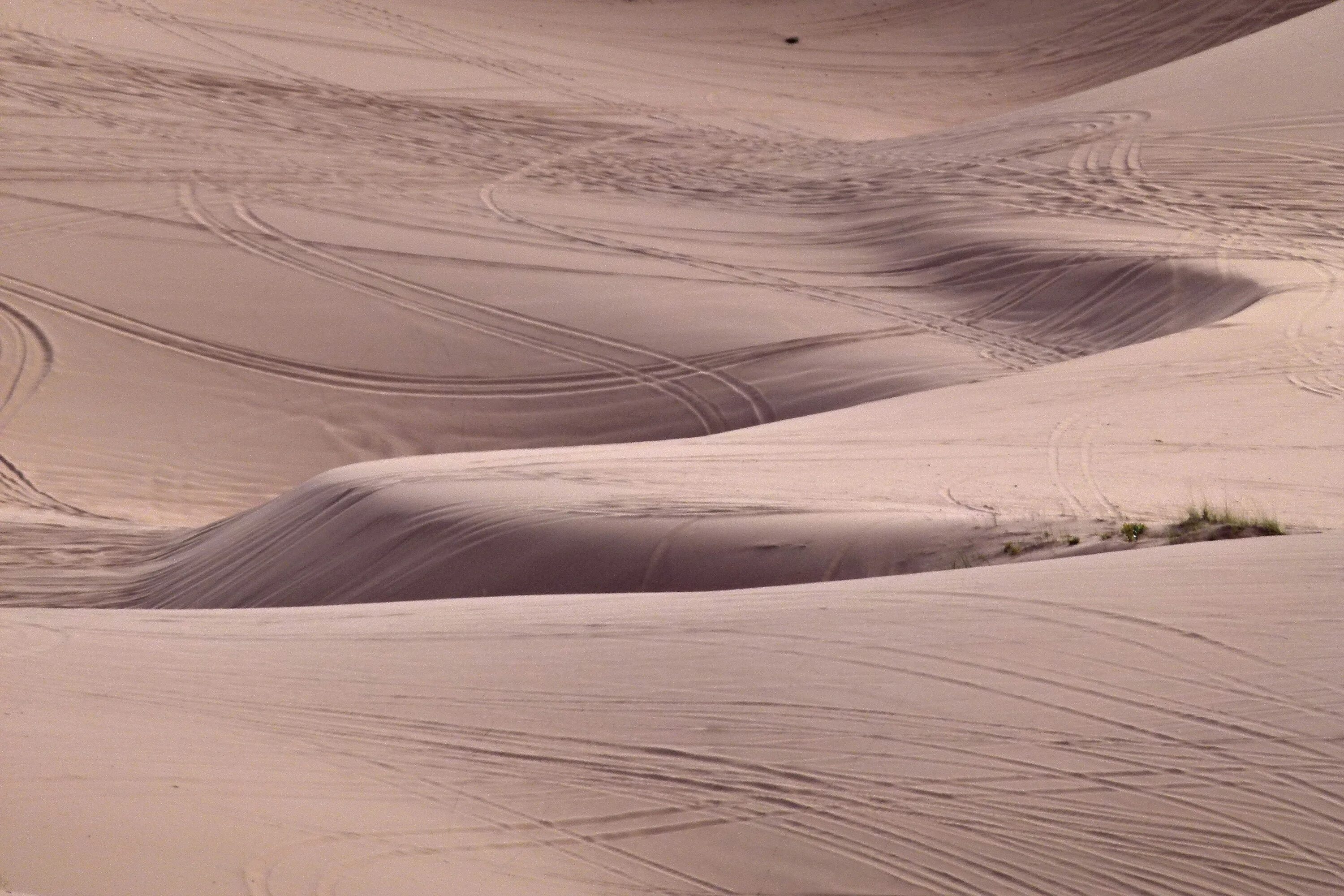 Дюнна. Песчаные дюны штат Юта. Розовая пустыня. Дюна Геология. Снежные дюны.