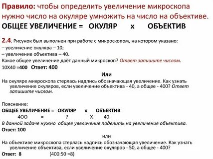 Какое общее увеличение дает