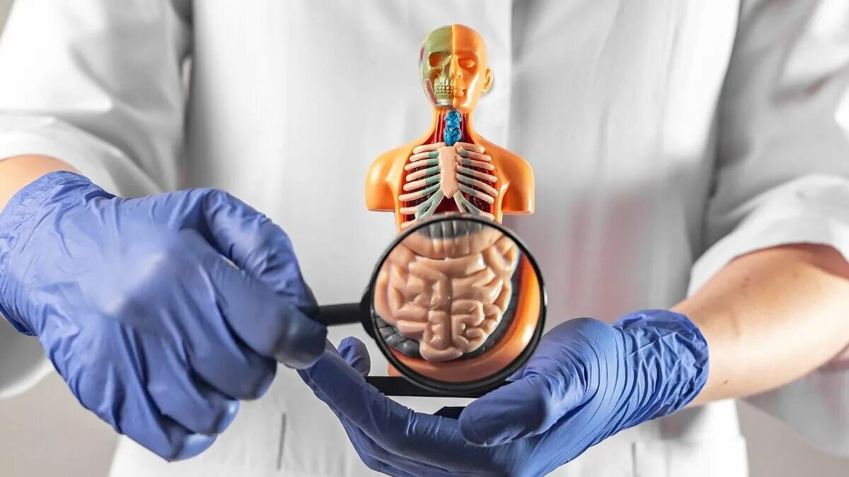 Энтерит лекарства. Энтерит лекарства