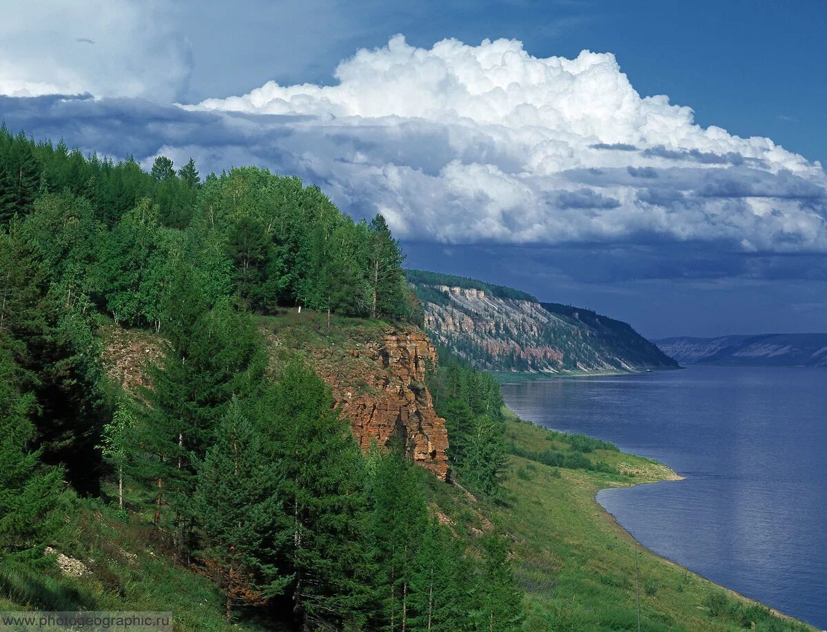 Река Лена в Якутии. Сибирь река Лена. Река Лена Тайга. Река лес Якутии река Лена. Лена возле якутска