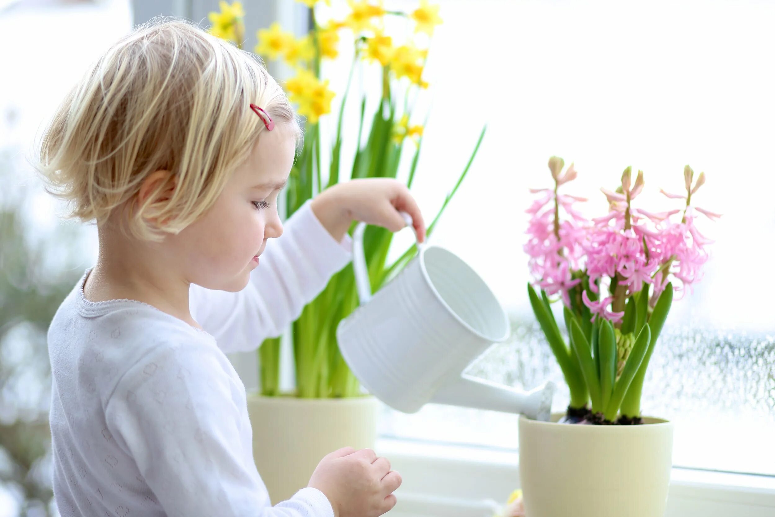 The flowers already. Растения на подоконнике. Комнатные растения для детей. Ребенок поливает комнатные цветы. Поливаем цветы на подоконнике.