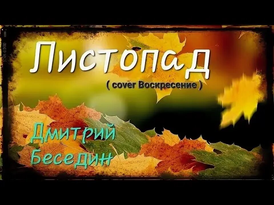 Просто сапунов листопад. Листопад на гитаре. Осенний кот. Осень дождь. Осень яблоки.