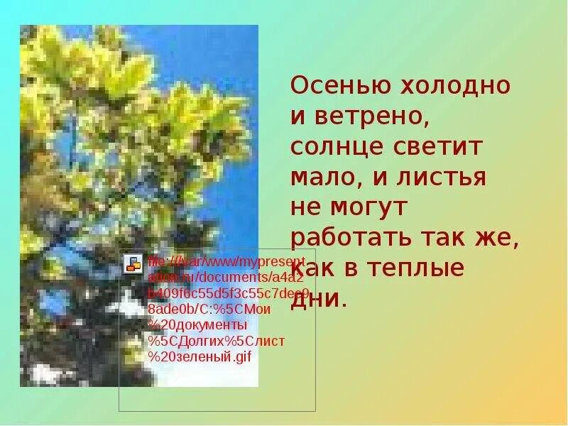 Листья пожелтели и опали с деревьев