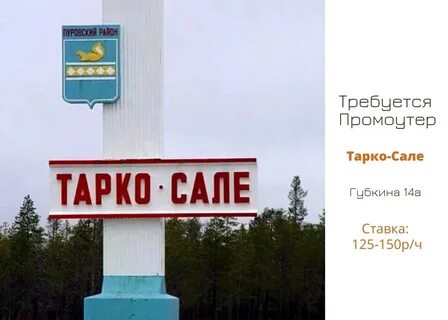 Тарко сале 5