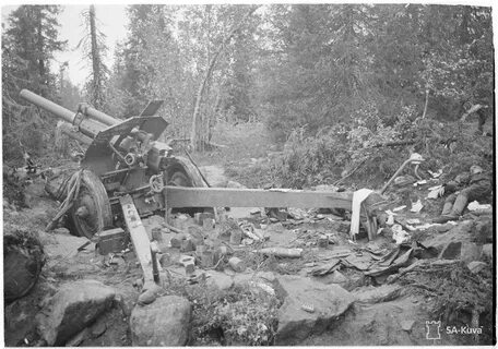Потери 1941