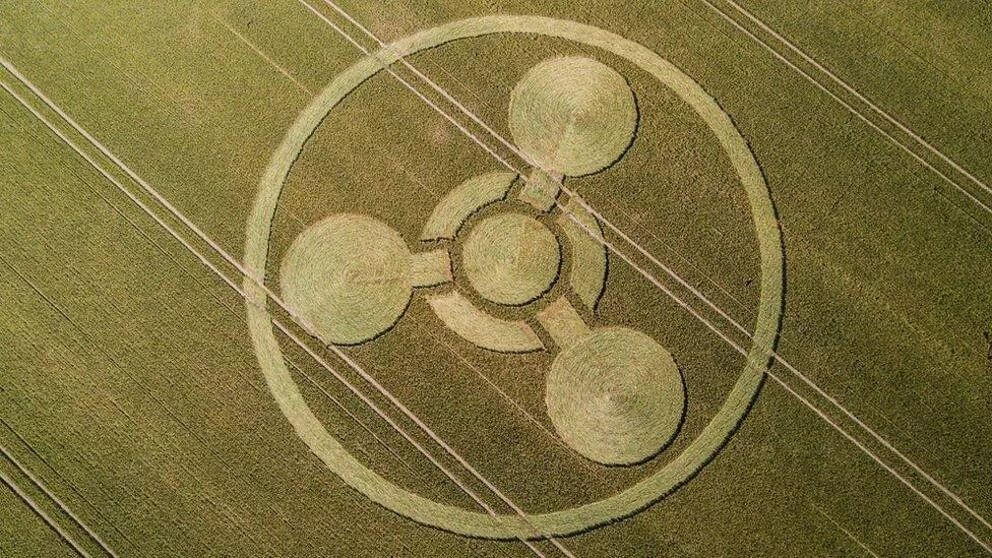 Пиктограмма круги на полях. Круги на полях НЛО. Круги на полях в Англии. Круги на поле телеграмм