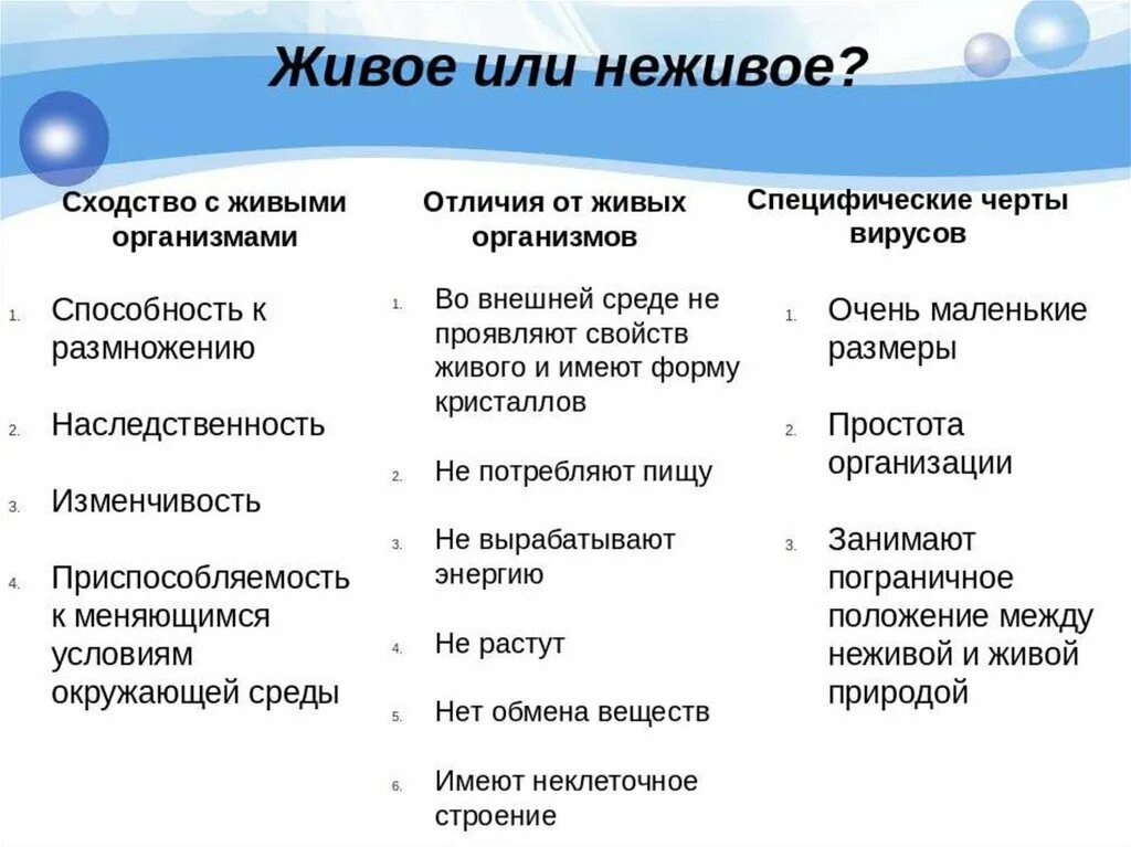 Как отличить живую. Сходства и различия живой и неживой природы. Сходства и различия живого и неживого. Сходство и различия живых и неживых систем.. Различия живой природы от неживой.