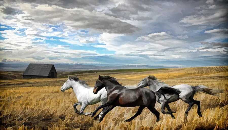 конь в поле. лошади в ковыльной степи. лошадь бежит. степная лошадь. заяц в степи.