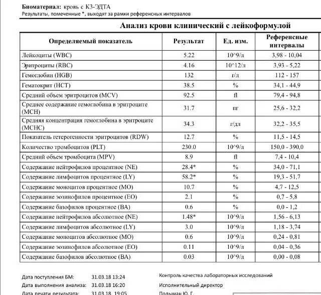 Пониженные нейтрофилы сегментоядерные в крови у женщин