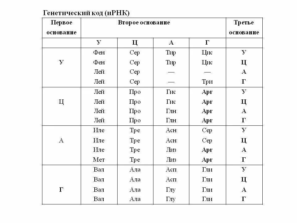 Из днк в ирнк таблица. Таблица генетического кода ИРНК таблица. Генетический код ИРНК от 5 к 3 концу. Таблица генетический код биология. Биология таблица генетического кода.