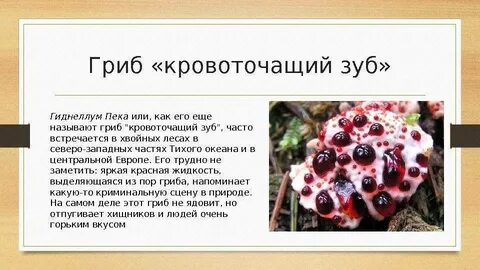 Рот рта год года гриб грибы