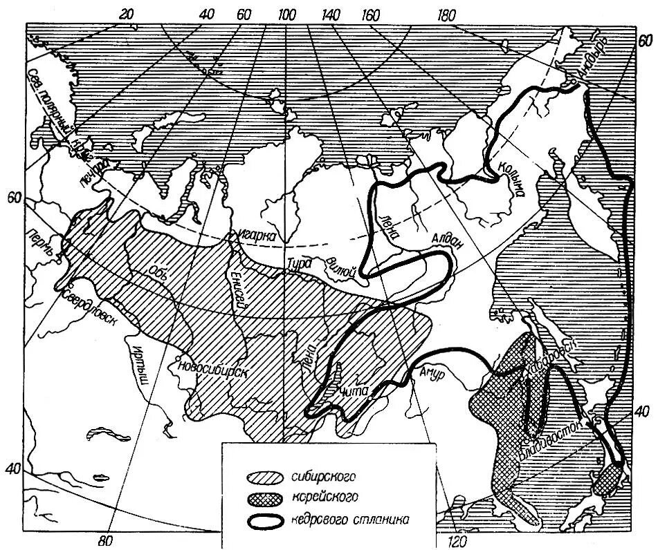 Сосна обыкновенная ареал обитания. Ареал произрастания сосны обыкновенной в россии. Ареал сосны обыкновенной в россии на карте. Ареал распространения сосны обыкновенной. Кедр ареал.