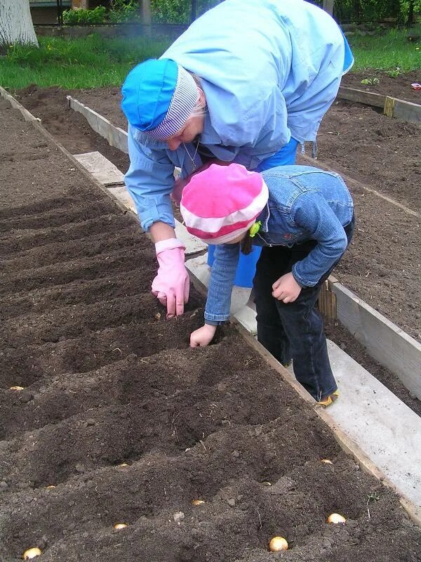Работы в саду весной. Работа на даче. Весенние работы в огороде. Работа в огороде весной. Работа в саду.