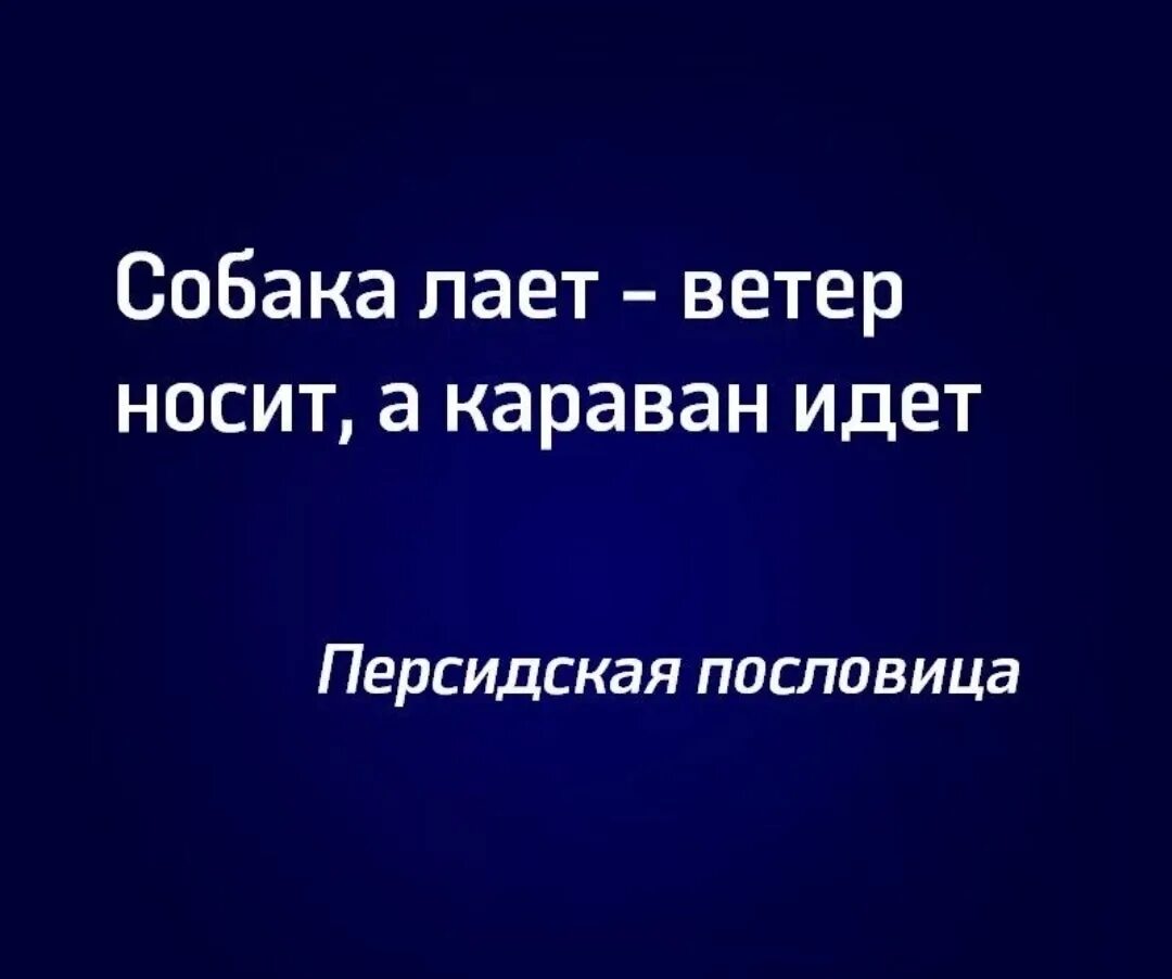 Собаки лают Караван идет. Собака лает каравантидет. Собака лоет корован идет. Собака лаяла Караван илет. Караван что означает