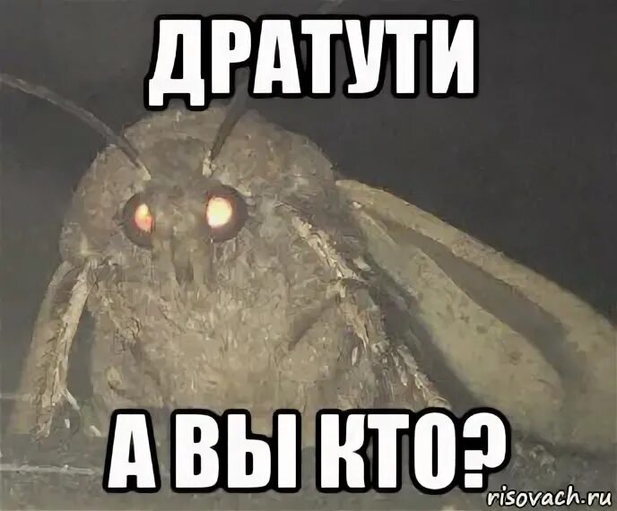 Зовут пойди