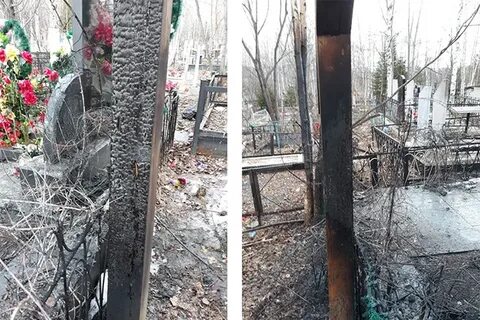 Могила сына