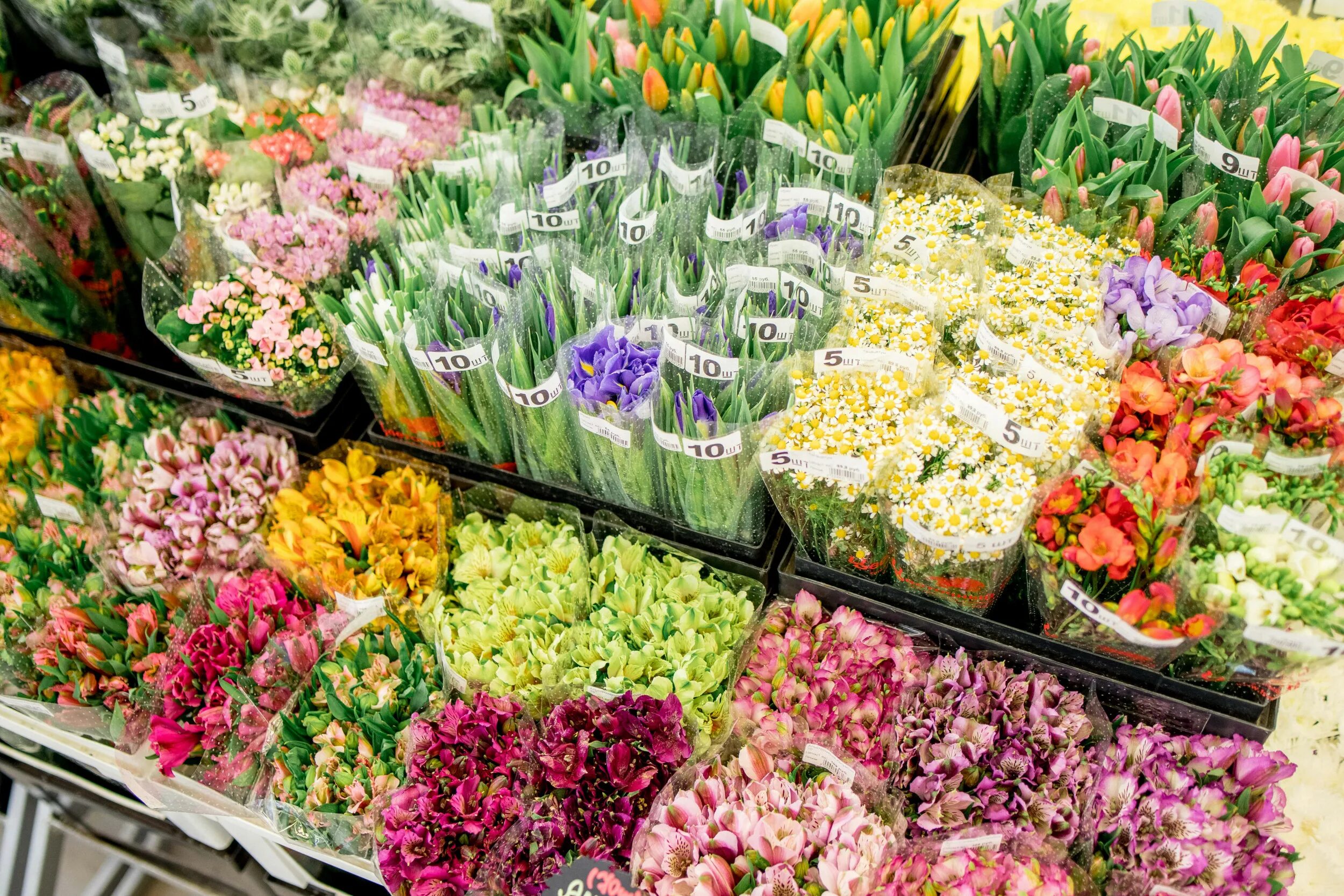 Новый цветочный рынок. Цветочный рынок. Цветок ассортимент. Рынок цветов. Ассортимент цветов.