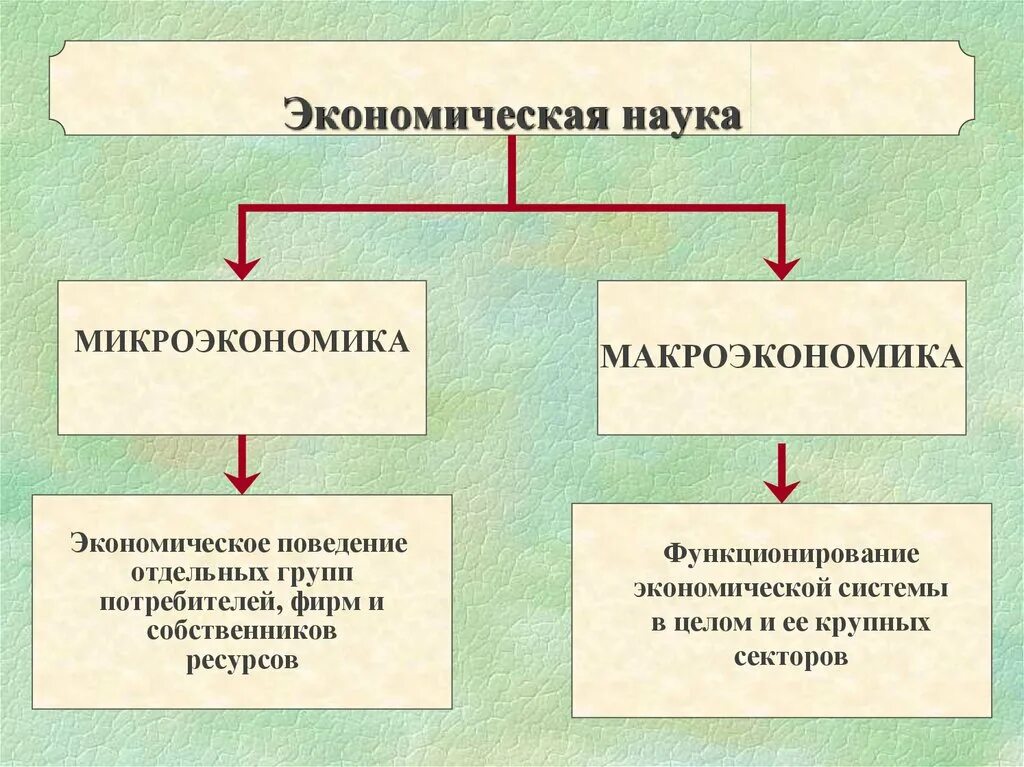 Микроэкономика является наукой. Экономическая наука. макроэкономика и микроэкономика. микроэкономика и макроэкономика примеры. что такое макроэкономика и микроэкономика простыми словами.